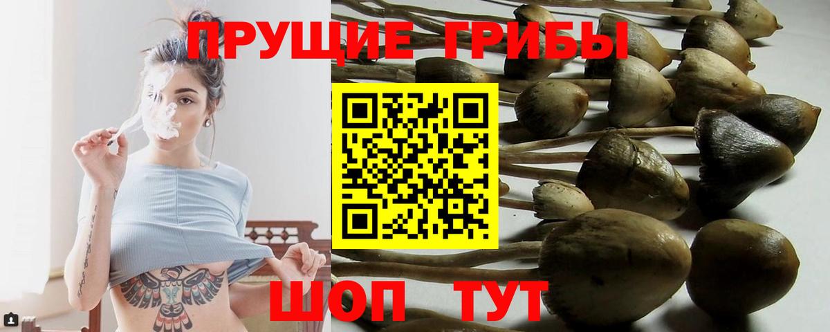 Псилоцибиновые грибы мухоморы  Вход с VPN  Нефтеюганск  Псилоцибиновые грибы MAGIC MUSHROOMS 